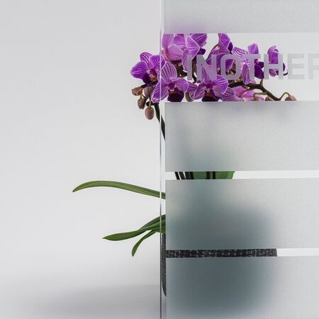 Bild Durchsicht der Ornamentglas MS weiß