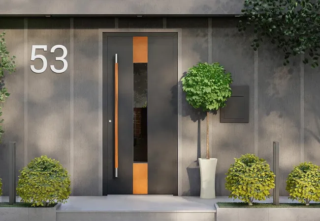 Bild Haus mit Beton Fassade und Aluminium Tür mit Holzdetails