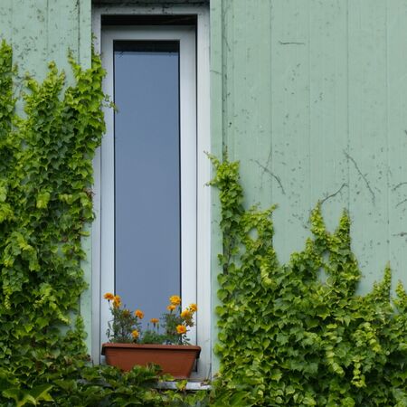 Bild Schmale Fenster mit Dreh oder Kipp Öffnungsfunktion aus Kunststoff, Holz oder Aluminium
