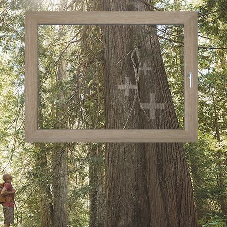 Bild Kunststofffenster Aluplast Woodec mit verschiedenen Holzdekore