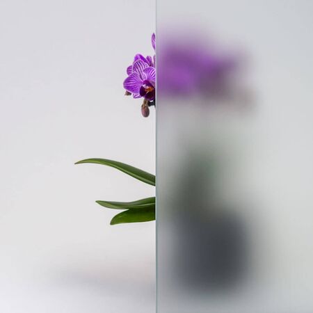 Bild Durchsicht der Ornamentglas  Satinato weiß