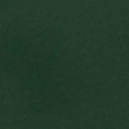 Bild RAL-6005