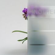 Bild Durchsicht der Ornamentglas MSS weiß