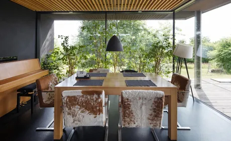 Bild Fensterfront im Esszimmer
