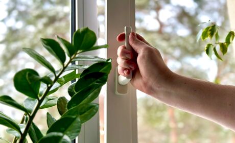 Bild Kipp Funktion bei Fenster für bessere Lüftung und Kontrolle der Feuchtigkeit zum Beispiel für Pflanzen