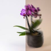Bild Durchsicht der Ornamentglas Chinchilla bronze