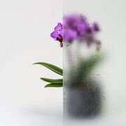 Bild Durchsicht der Ornamentglas Madras-Uadi weiß