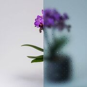 Bild Durchsicht der Ornamentglas Madras-Pave blau