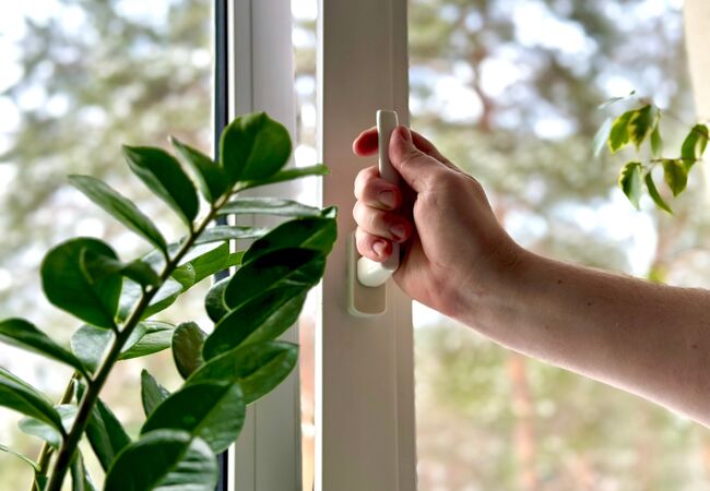 Bild Kipp Funktion bei Fenster für bessere Lüftung und Kontrolle der Feuchtigkeit zum Beispiel für Pflanzen