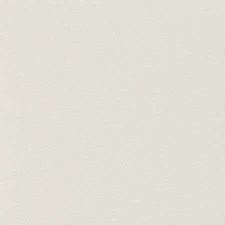 Bild RAL-9016