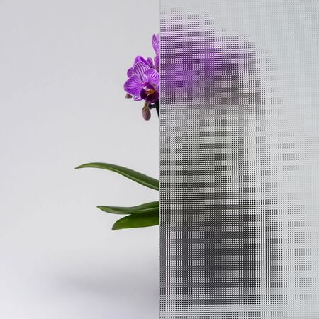 Bild Durchsicht der Ornamentglas 597