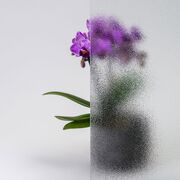 Bild Durchsicht der Ornamentglas 504