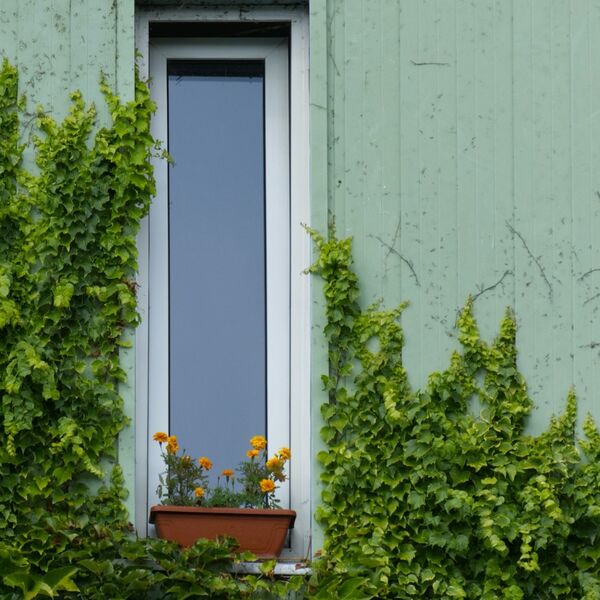 Bild Schmale Fenster mit Dreh oder Kipp Öffnungsfunktion aus Kunststoff, Holz oder Aluminium