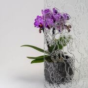 Bild Durchsicht der Ornamentglas Delta weiß