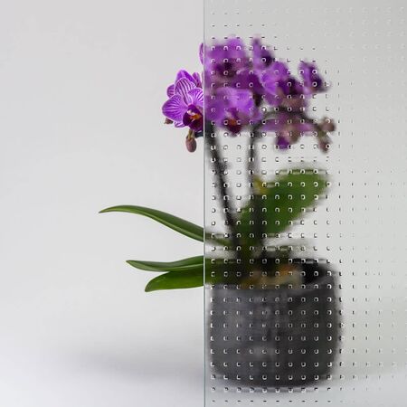 Bild Durchsicht der Ornamentglas Mastecarre weiß