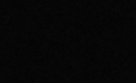 Bild Schwarz-Ulti-Matt