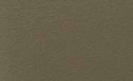 Bild Anodic Oliv