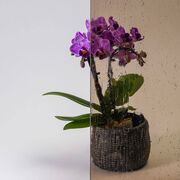 Bild Durchsicht der Ornamentglas Altdeutsch-K bronze