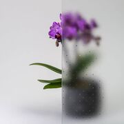 Bild Durchsicht der Ornamentglas Madras-Pave weiß
