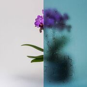 Bild Durchsicht der Ornamentglas Madras-Uadi blau