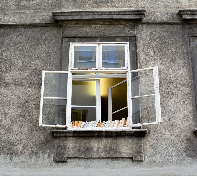 Bild Altes Doppelfenster mit Büchern