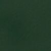Bild RAL-6005
