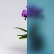 Bild Durchsicht der Ornamentglas  Satinato blau