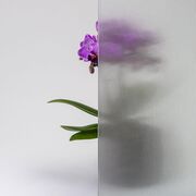 Bild Durchsicht der Ornamentglas Masterpoint weiß